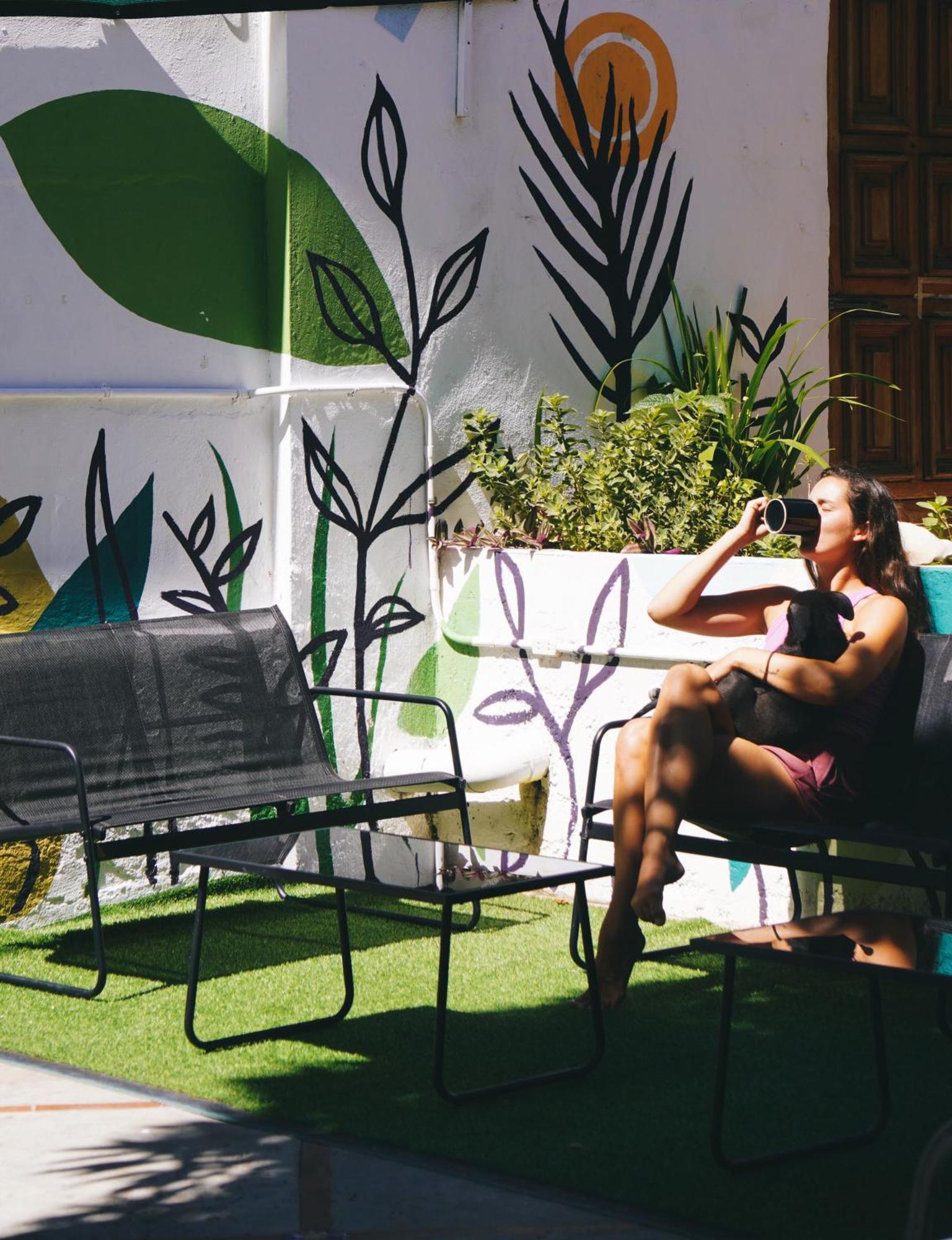 El Sofa Caracas Bed & Breakfast Ngoại thất bức ảnh